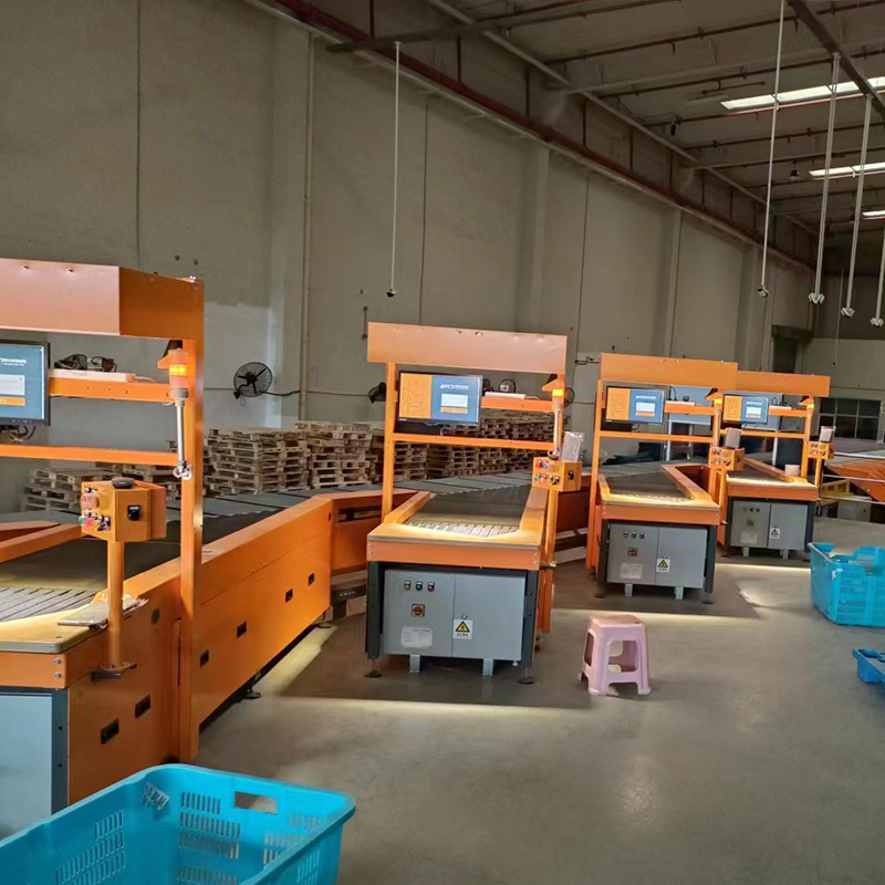 Truelisort Custom Design Parcel Automatic Conveyor Cross Belt Sorter Feeding System