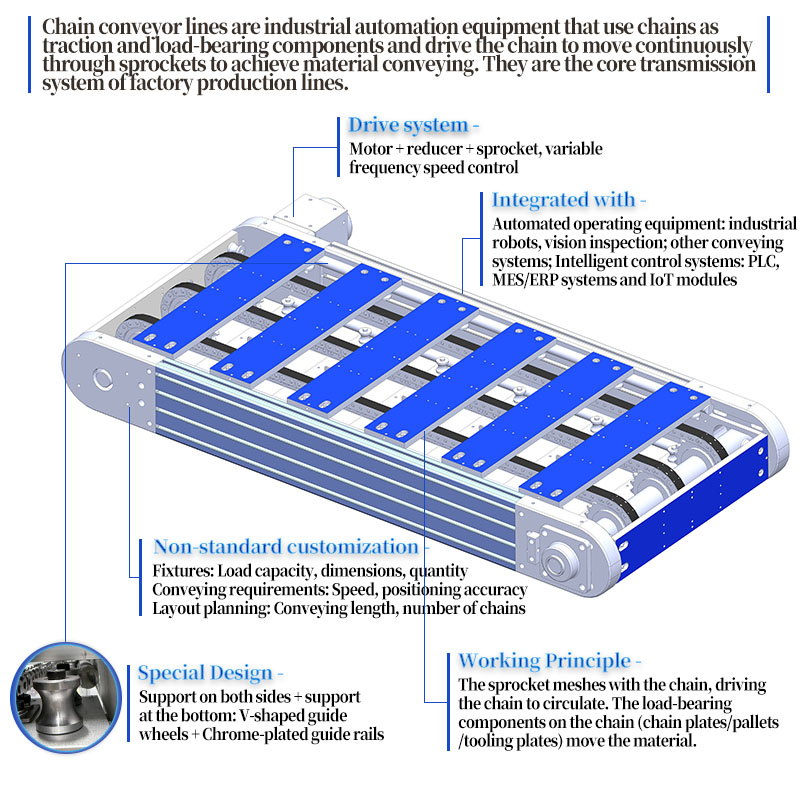 Automatic Chain Conveyor System for Packaging Line Smart Control Modular Design Stainless Steel Custom Conveyor Solution