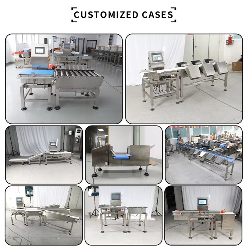 Heavy Duty Conveyor Checkweigher Industrial Automatic Multi-Stage Weight Sorting Machine for High-Volume Production Lines