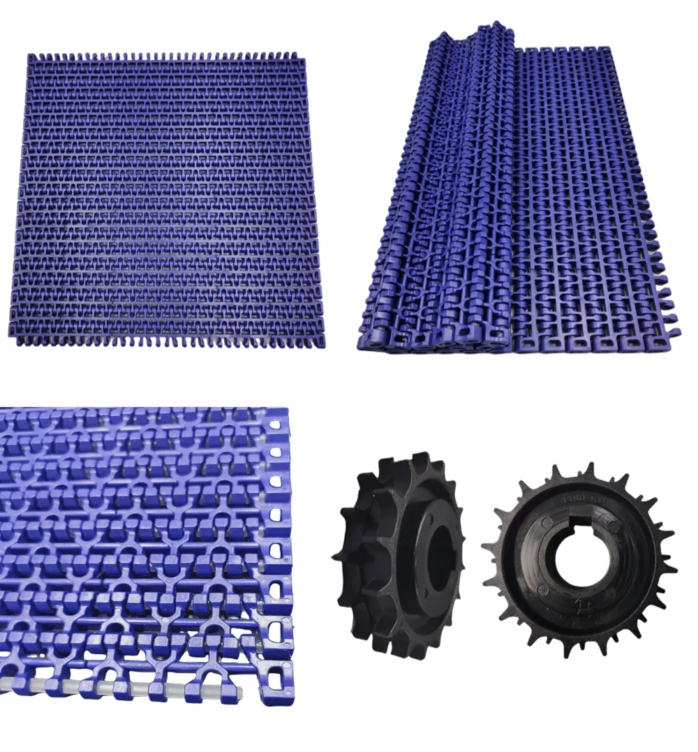 Conveyor Display