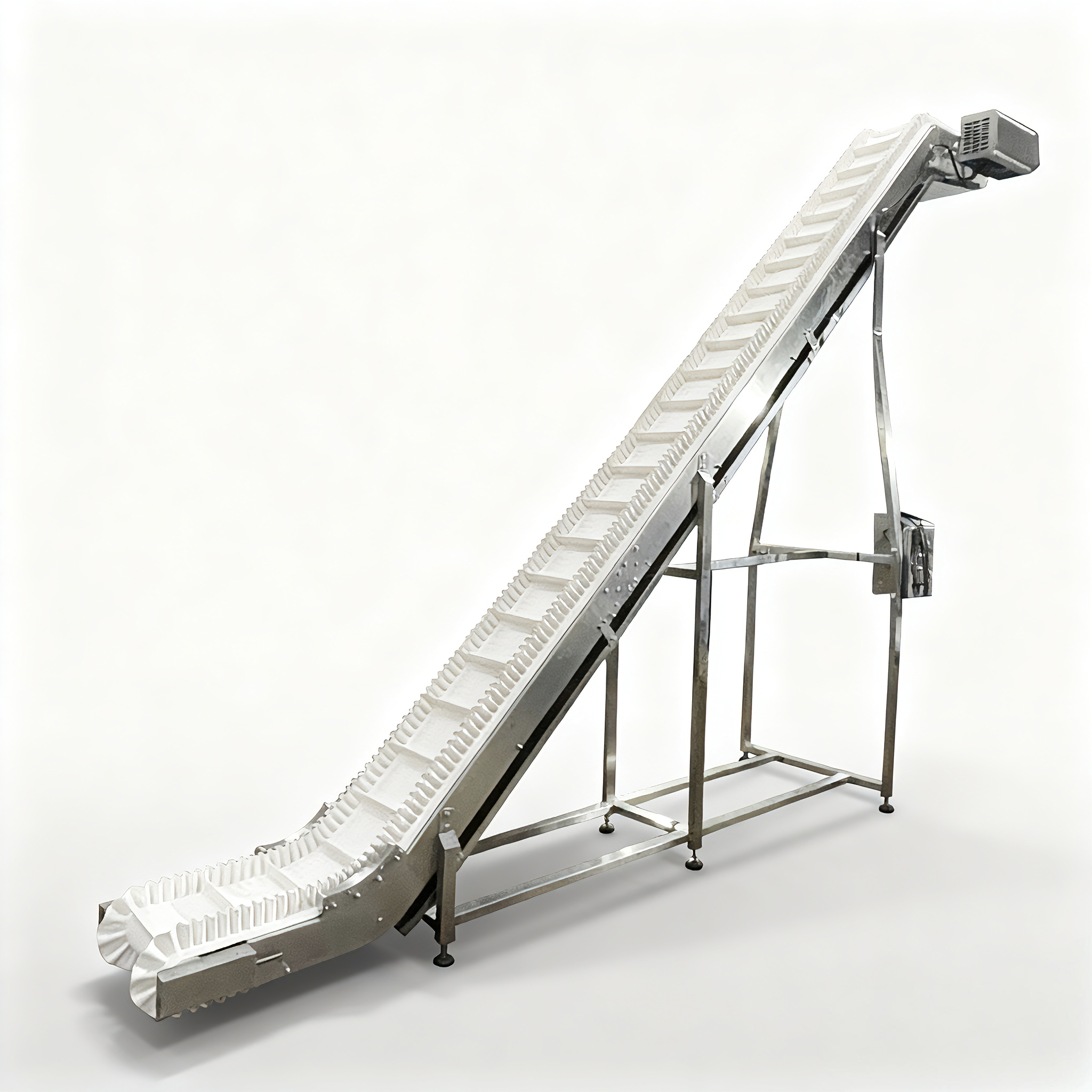 Food Processing Conveyor 1