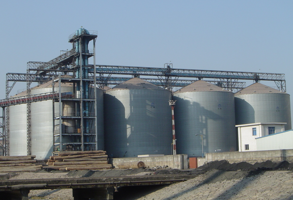 Customizable Chain Conveyor System for Bulk Material by Hualiang