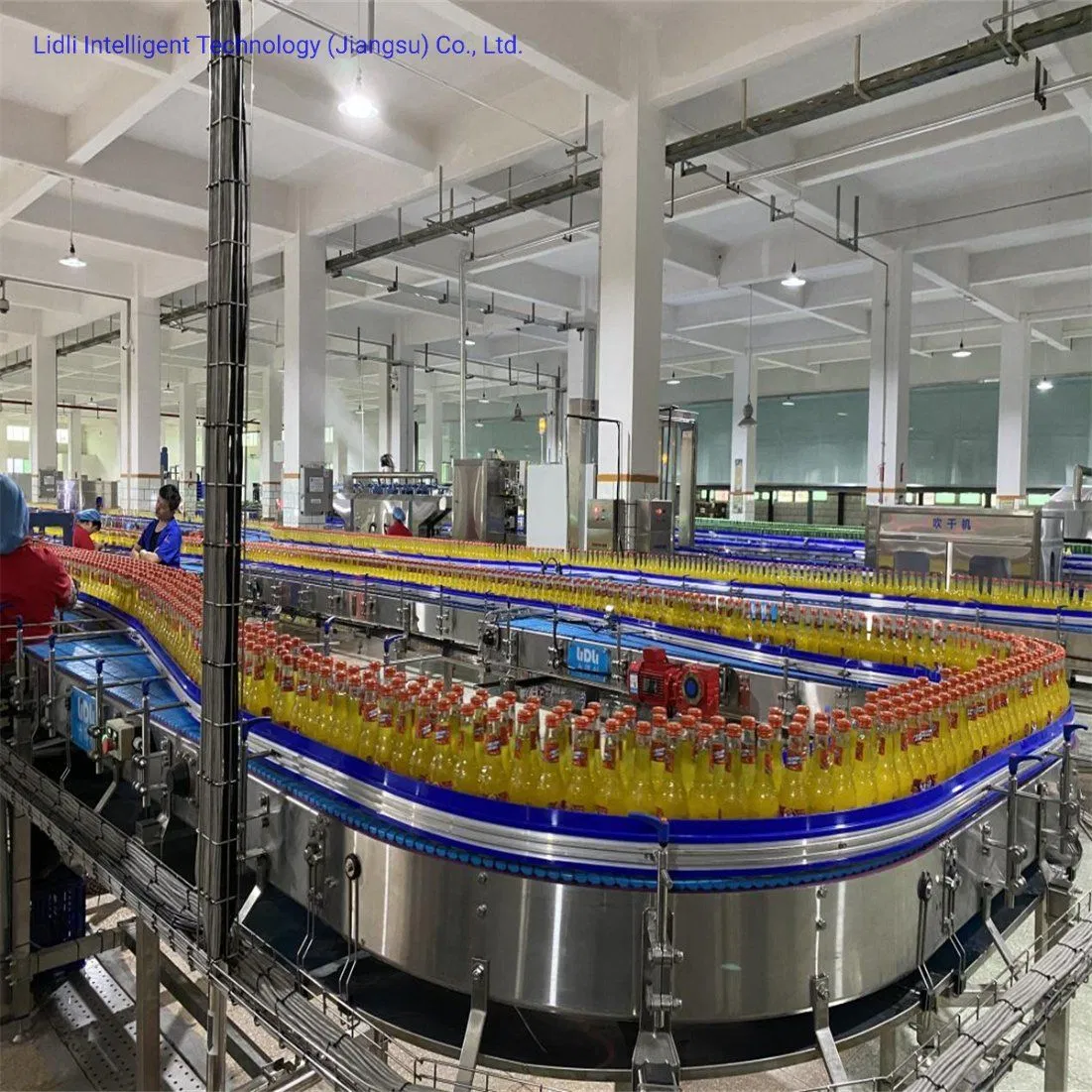 Bottle Conveyor Plastic SUS304 0.37kw Customized Conveyor Belt System