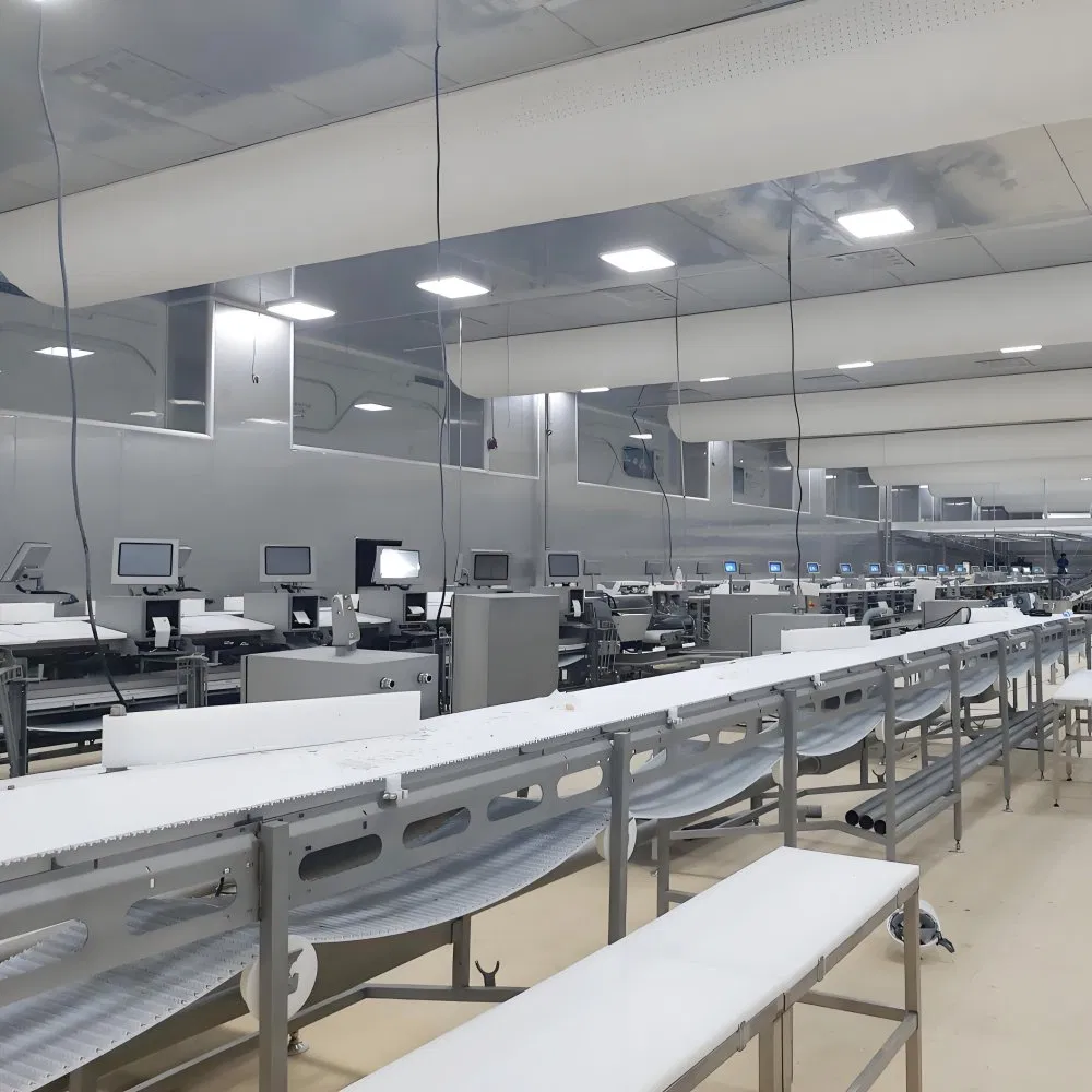 Food Factory Custom Industrial Automation Equipment Assembly Production Conveyor System