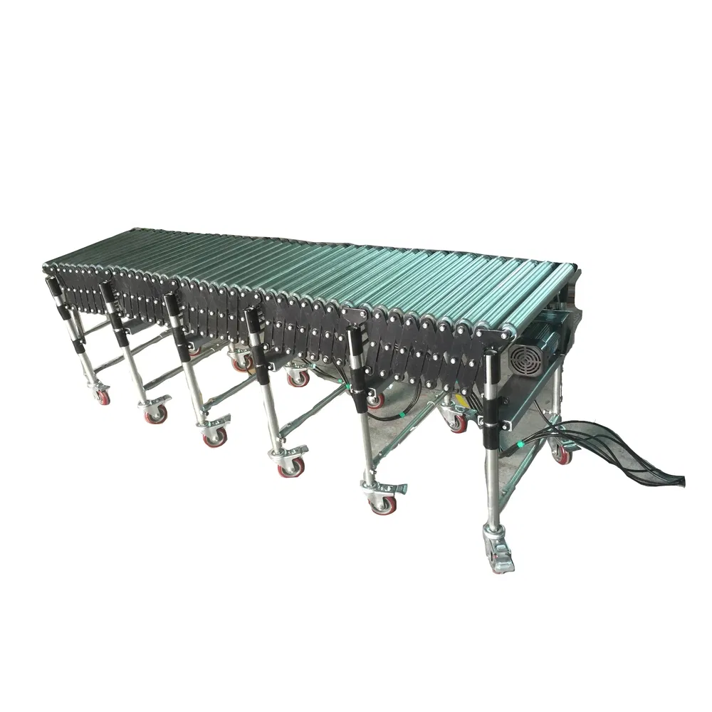 Strong Carrying Capacity Dust-Proof Design Custom Automated Warehouse Roller Conveyor Line