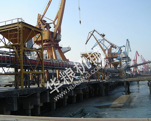 Wharf and Port Loading Belt Conveyor System