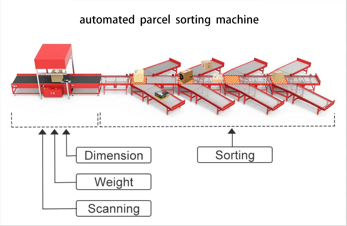 Intelligent Sorting Conveyor System Conveyor Belt Sorting Machine Dws System