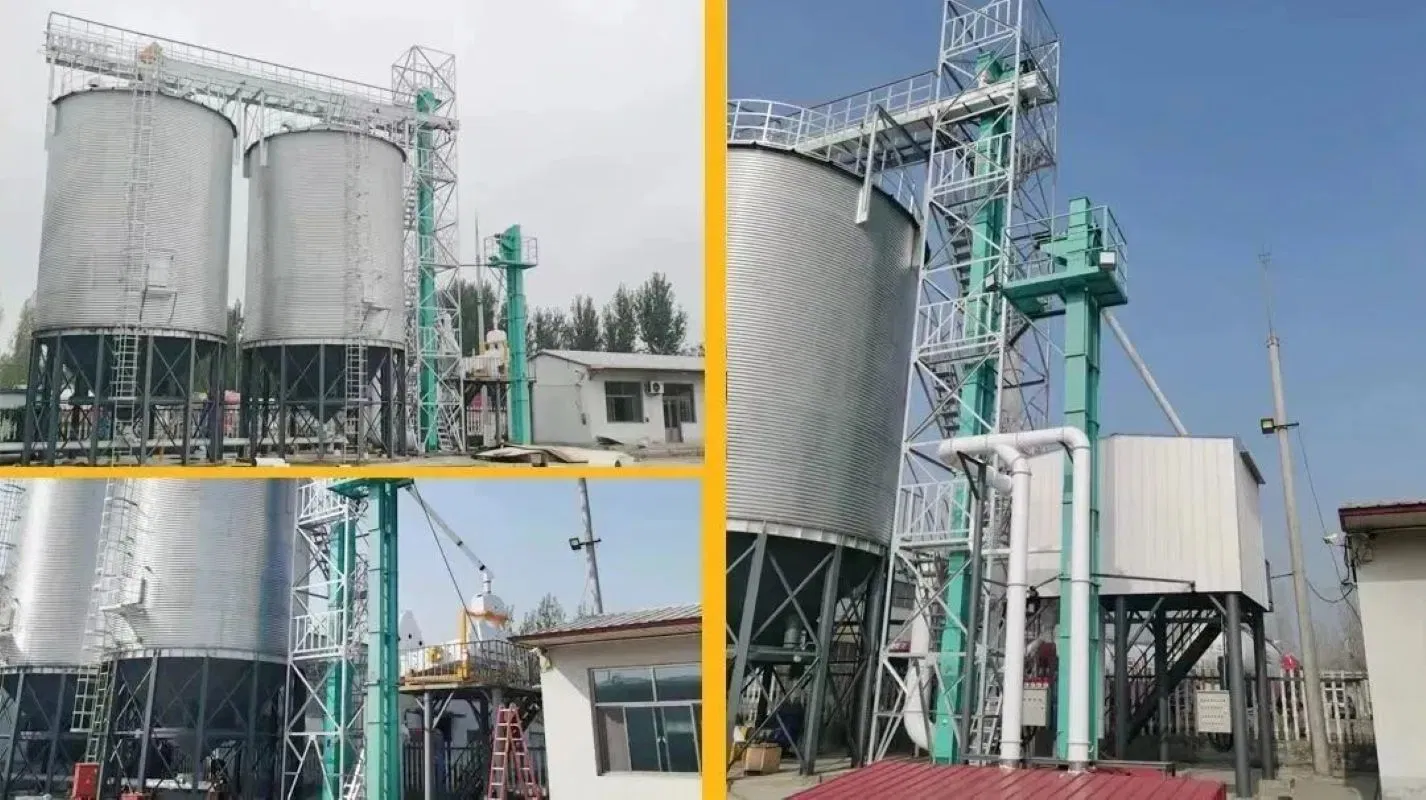 Reliable 400tpd Corn Conveyor System for Large Scale Operations