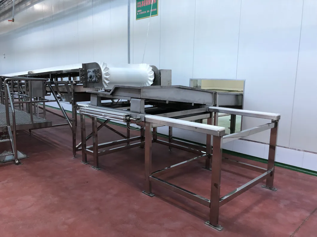 Conveyor System 1