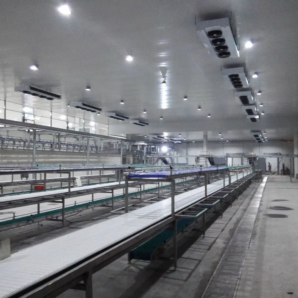 Advanced Food-Grade Conveyor System for Meat Portioning Efficiency