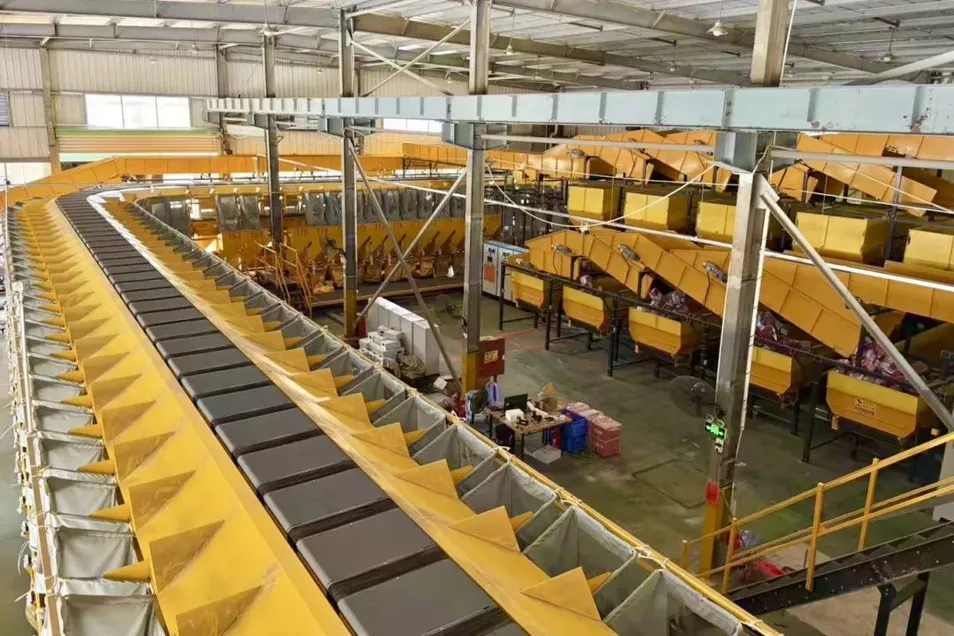 Sorting Cart Detail