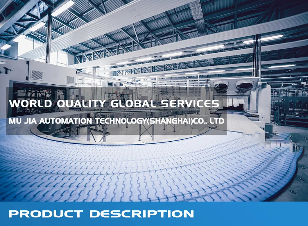 Stainless Steel Roller Conveyor System