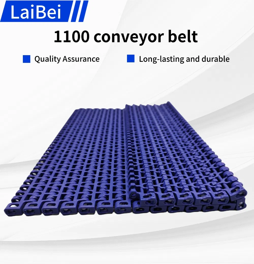 Conveyor Chain Detail