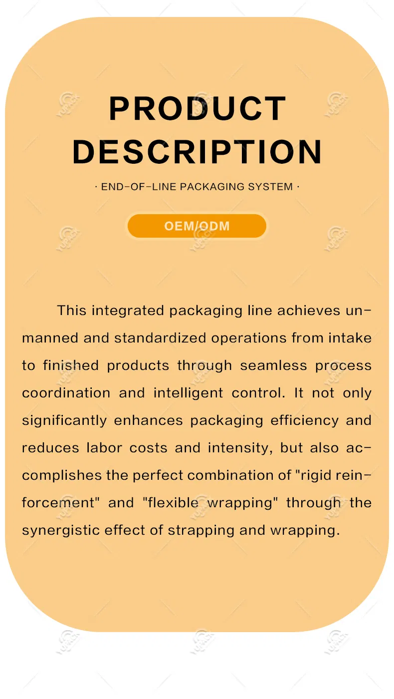 Packaging Line Visual 2