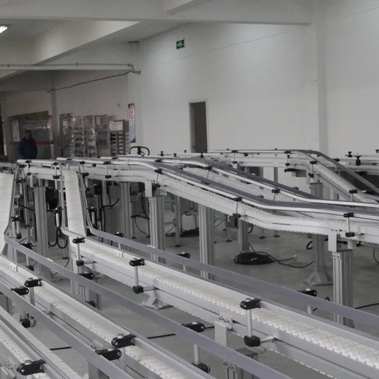 Customized High Quality Plastic Side Flex Top Chain Conveyor System Manufacturer
