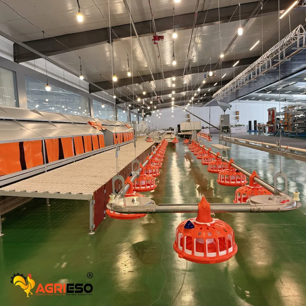 Automatic Feeding System