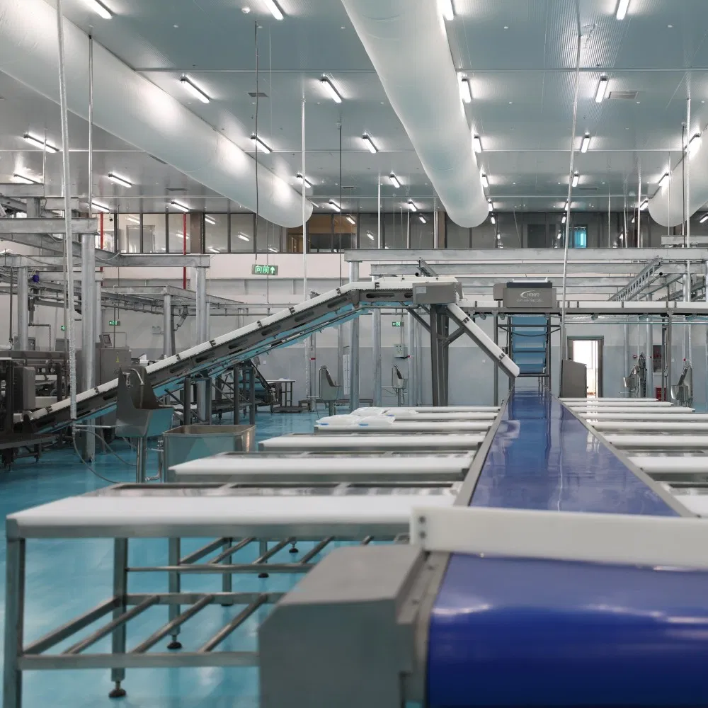 Food Factory Custom Industrial Automation Equipment Assembly Production Conveyor System