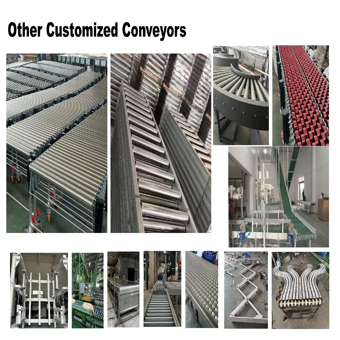 Customized Industrial Conveyor Systems for Multiple Industries with Professional Design