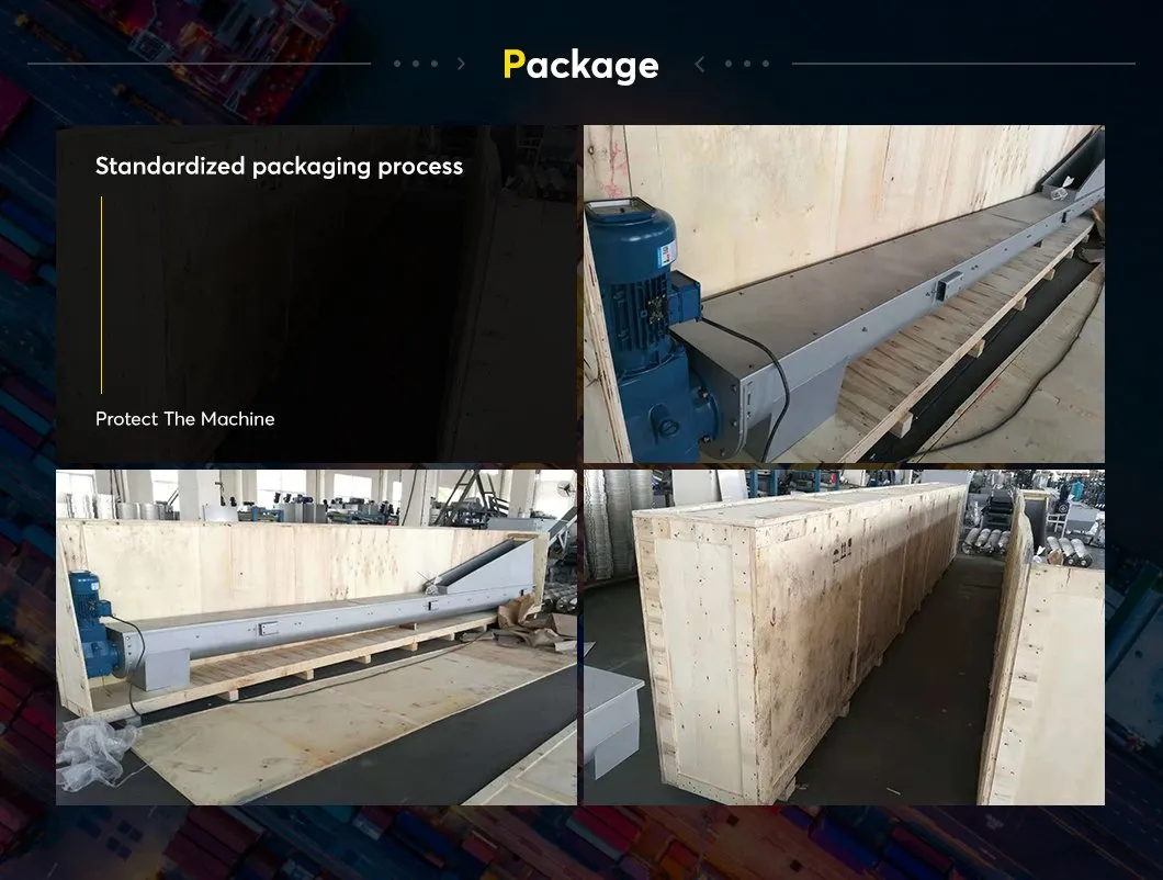 Conveyor Component 4
