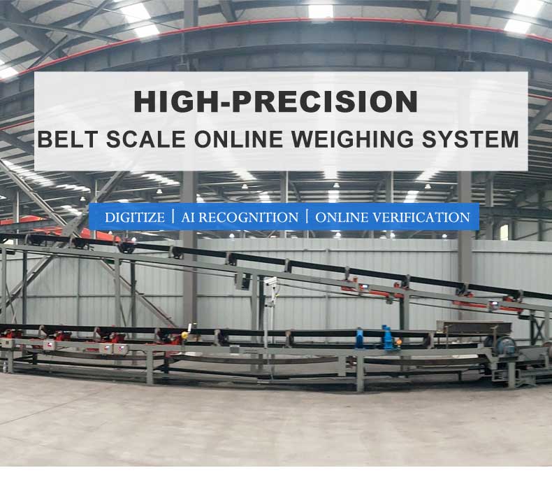Weighing System Overview
