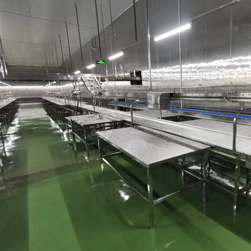Advanced Food-Grade Conveyor System for Meat Portioning Efficiency