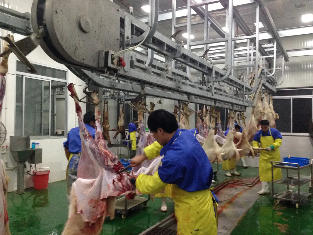 Conveyor System 6