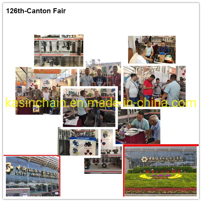 Samples and Exhibition