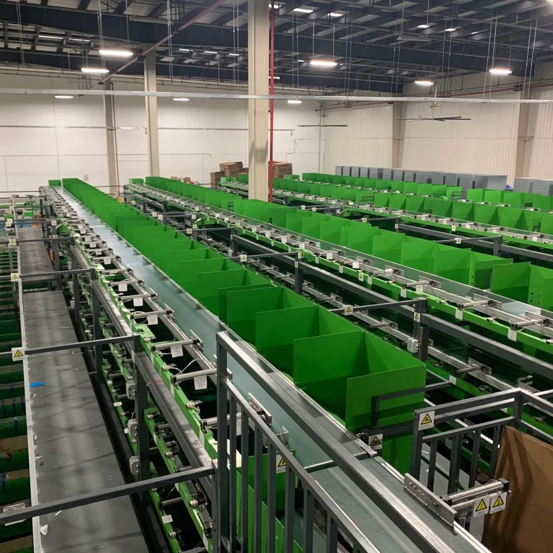 High-Precision Automated Sorting Line with Integrated Weighing System