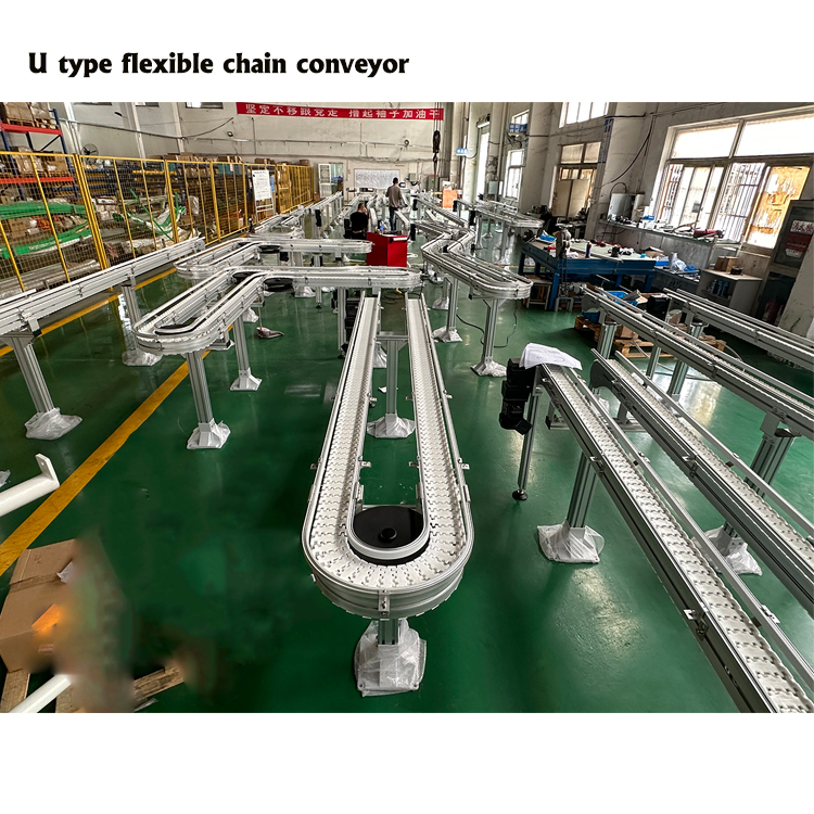 Conveyor Detail 4