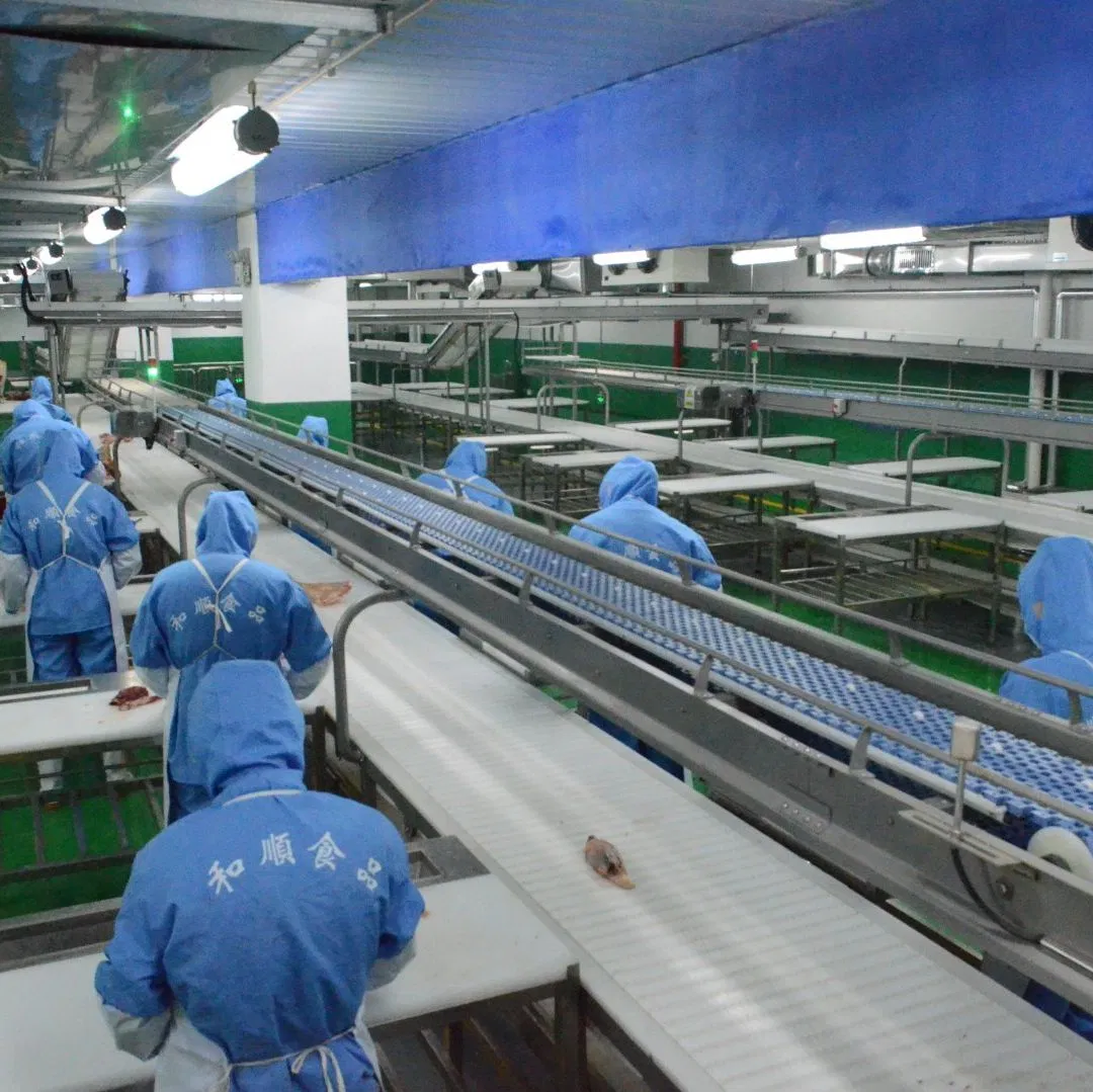 Food Factory Custom Industrial Automation Equipment Assembly Production Conveyor System