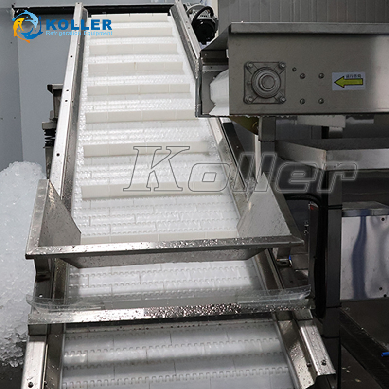 Customized Telescopic Belt Conveyor System for Ice Factory