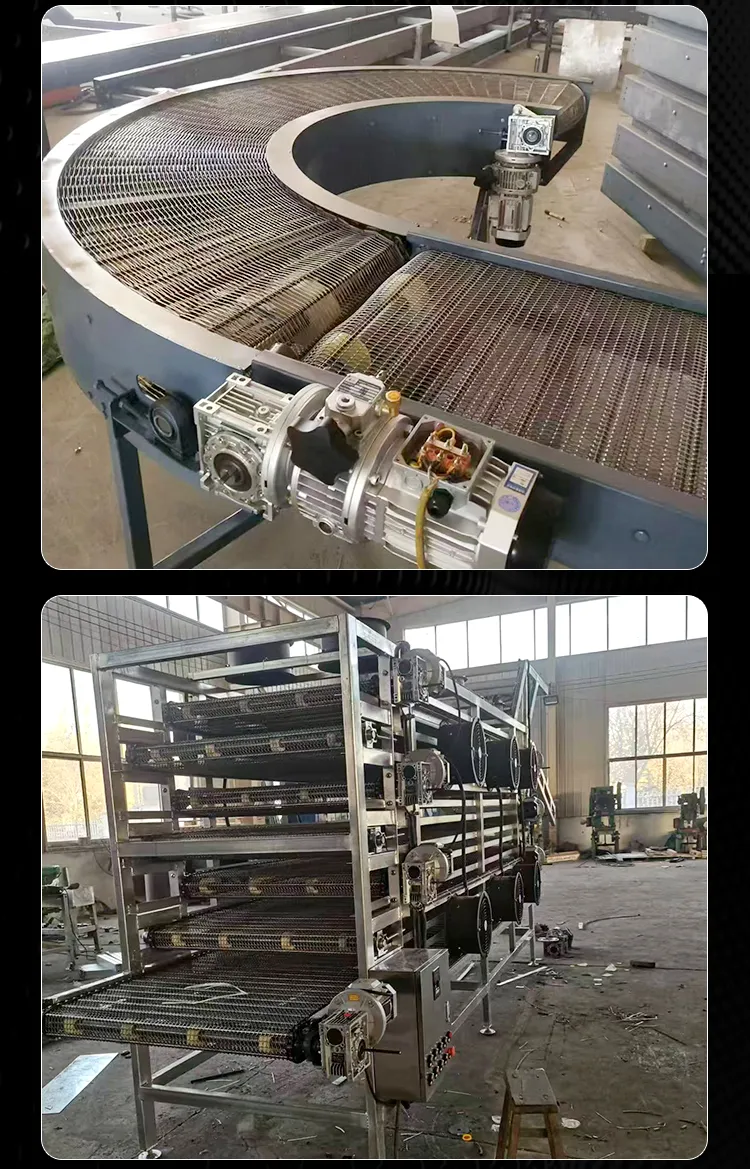 Conveyor Detail 2