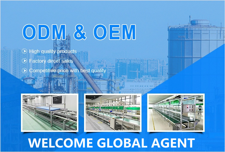 Belt Conveyor Machine