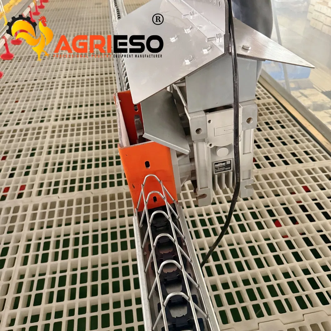 Chain Conveyor System