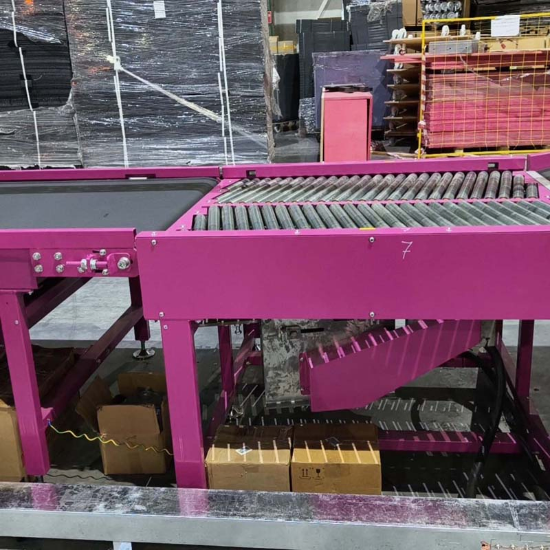 Truelisort Return Processing Center Automatic Sorting Conveyor System