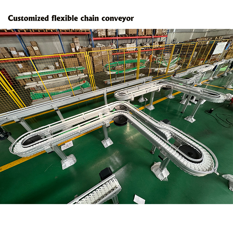 Conveyor Detail 3