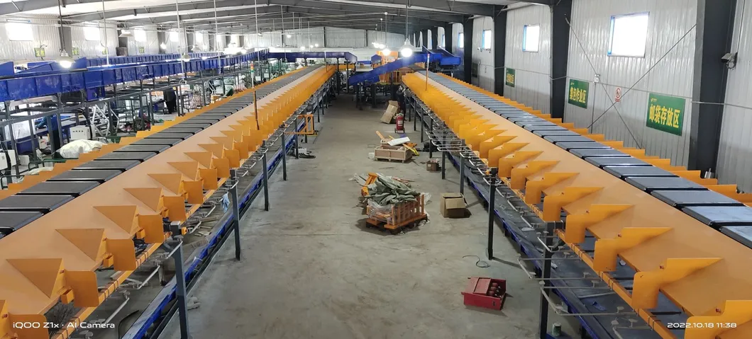 Conveyor Picture 1