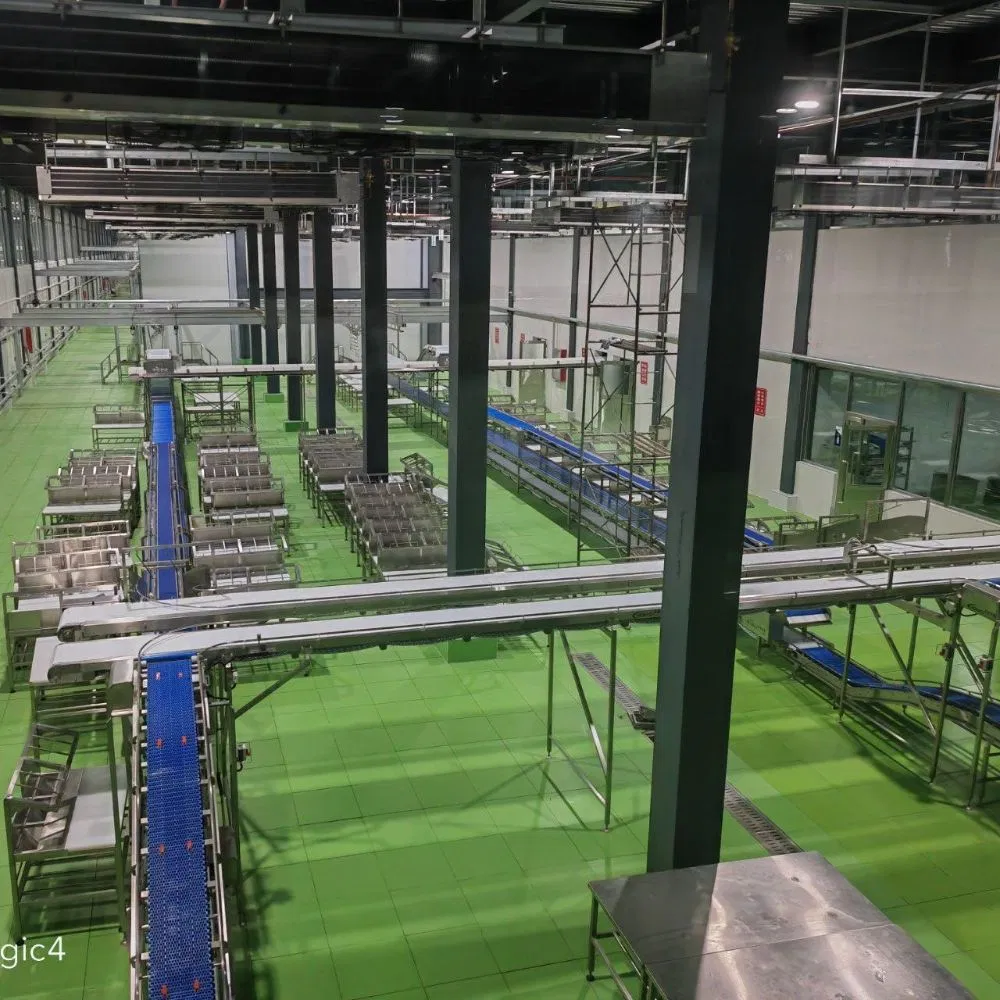 Advanced Food-Grade Conveyor System for Meat Portioning Efficiency