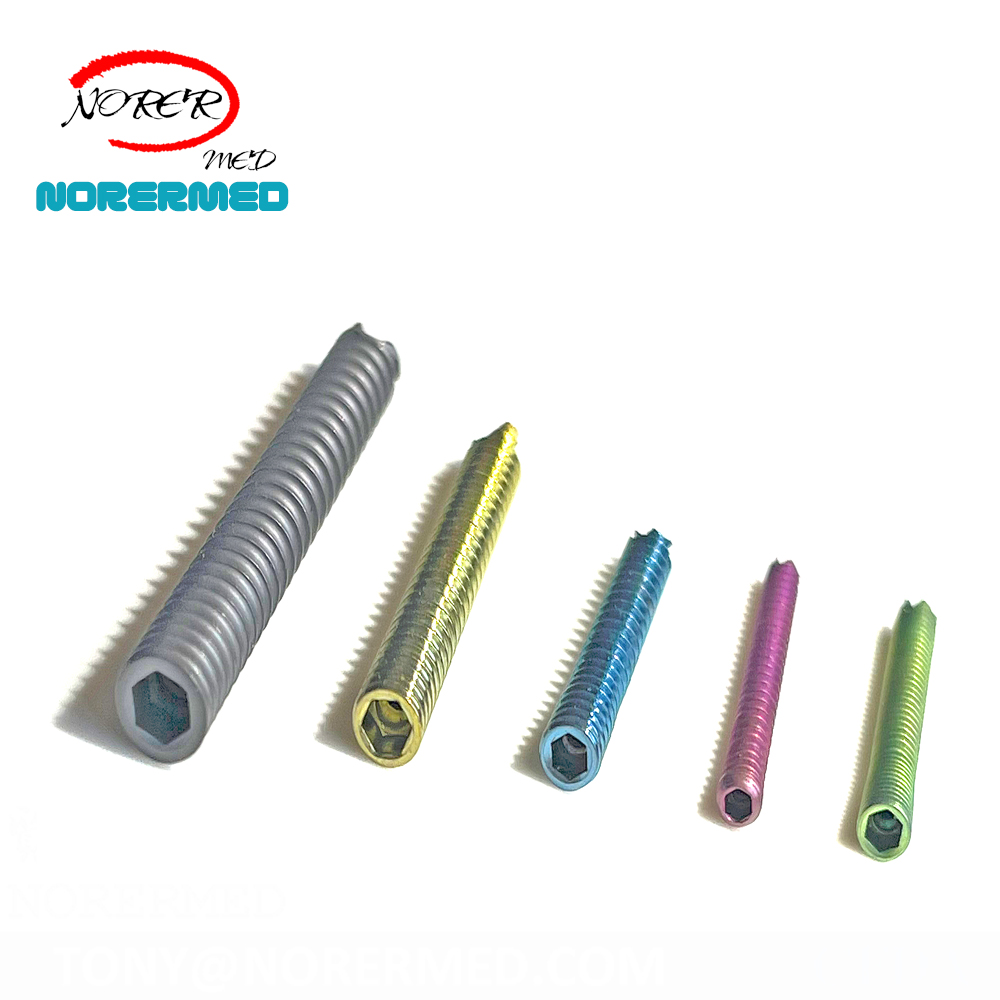Chinese Titanium  Locking Screw