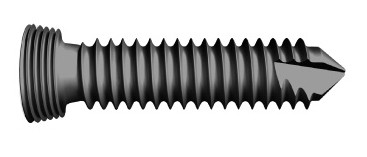 Titanium locking screw detail view 1