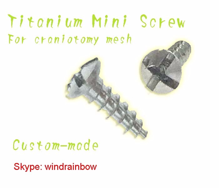 Chinese Titanium Screw Machining Production Manufacture Titanium Rod