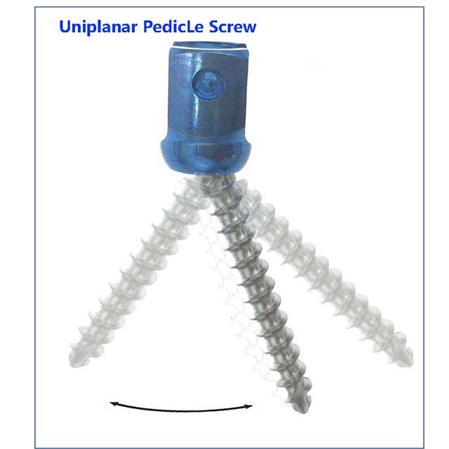 Human /Veterinary Orthopedic Titanium Spine Uniplanar Pedicle Poly Screw for Fixation