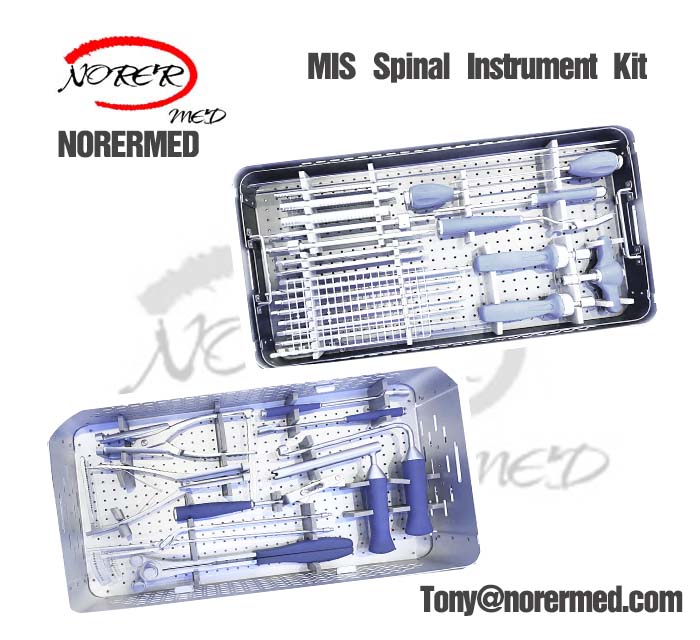 Veterinary Orthopedic Minimally Invasive Spinal Titanium Pedicle Screw