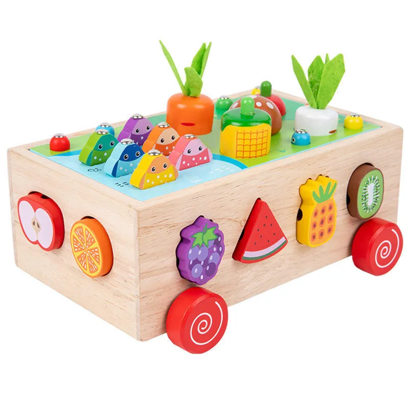Wooden Montessori Toy Main