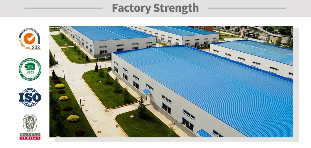 Rainbow Axolotl Plush 5