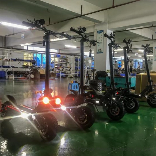 EU 60V 3600W off-Road LG Battery Scooter Electric, Kick Scooter