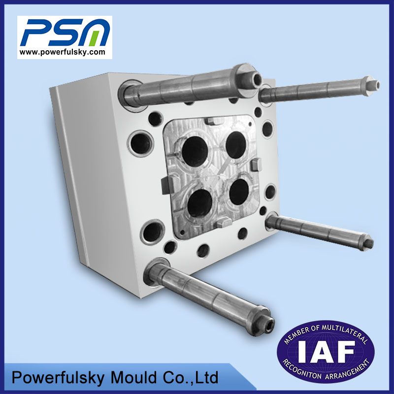 Pet Bottle Molding with CE