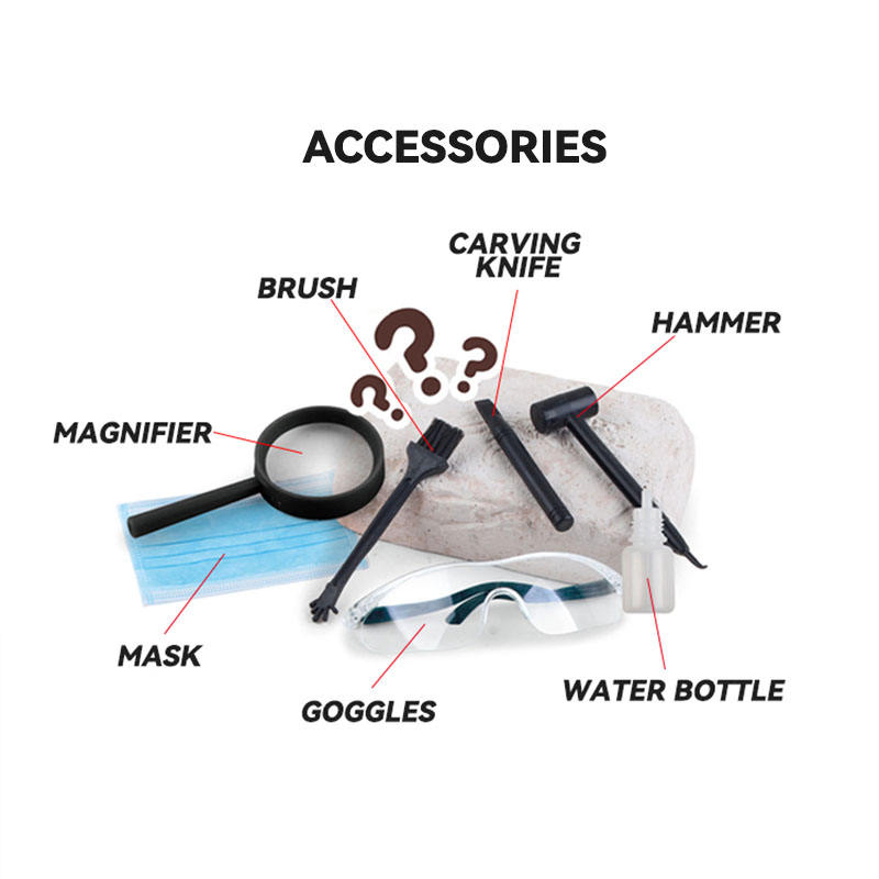 Kids Surprise Gift Blind Box Science Educational DIY Dinosaur Skeleton Fossil Digging Toy Gypsum Dinosaur Fossil Excavation Kits