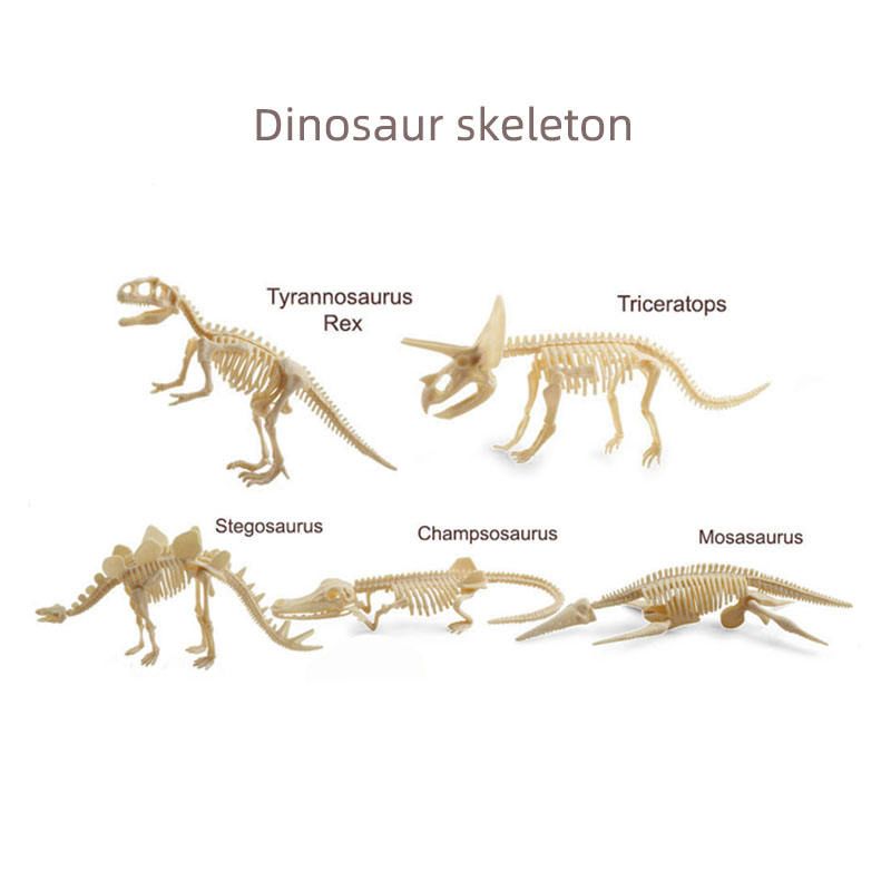 Kids Surprise Gift Blind Box Science Educational DIY Dinosaur Skeleton Fossil Digging Toy Gypsum Dinosaur Fossil Excavation Kits