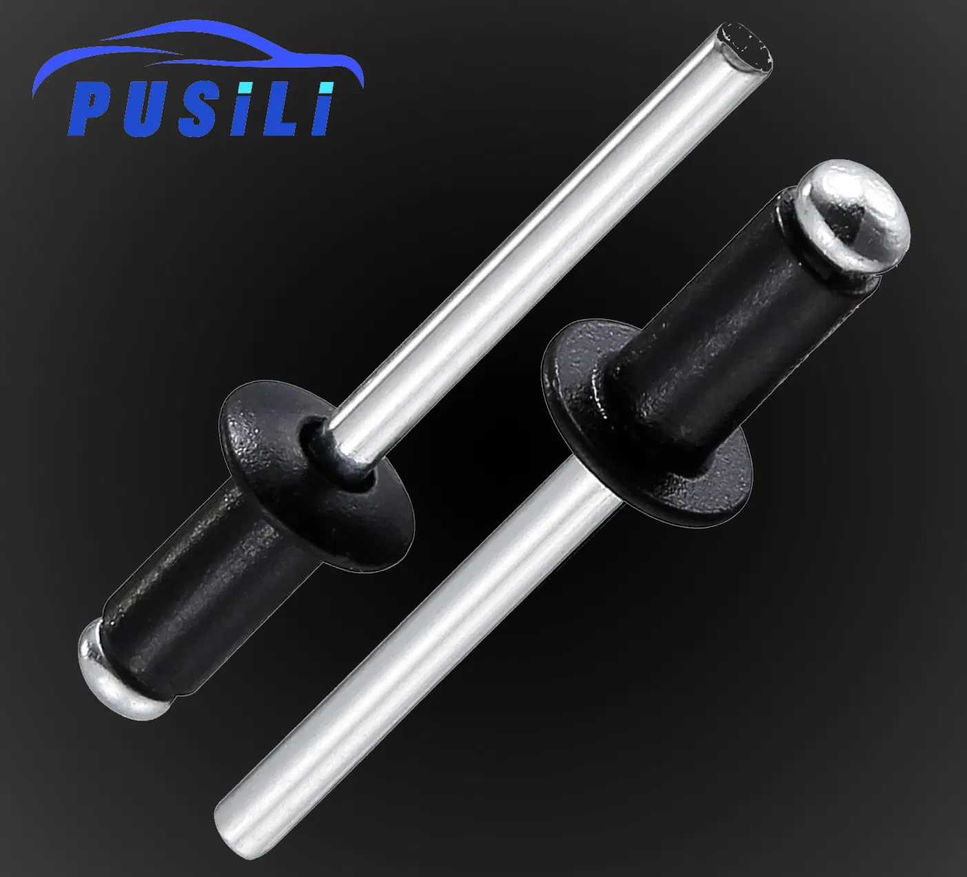 Black Rivets Pop Rivets Assortment Kit, Assorted Blind Rivets with Case